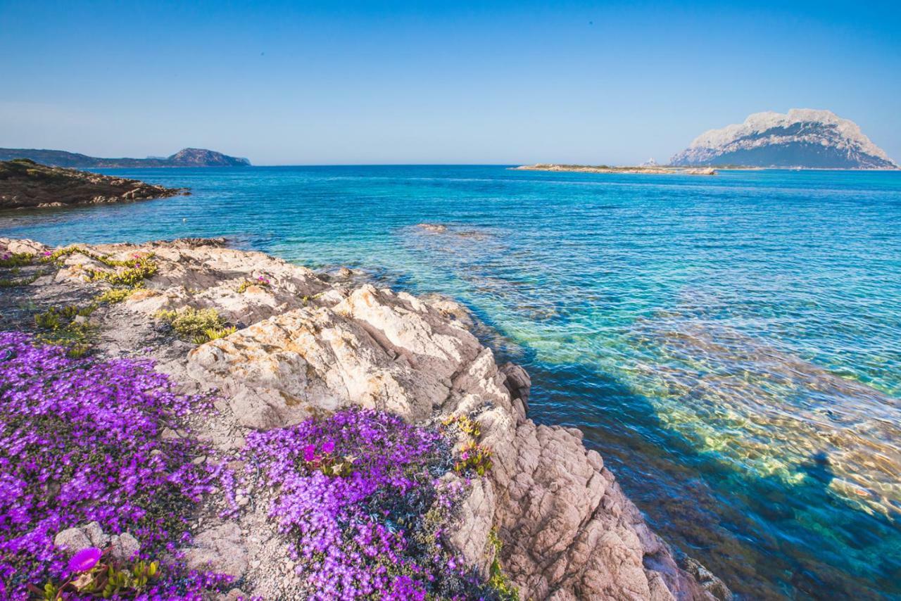 Hotel Il Faro Di Molara Porto San Paolo  Eksteriør bilde